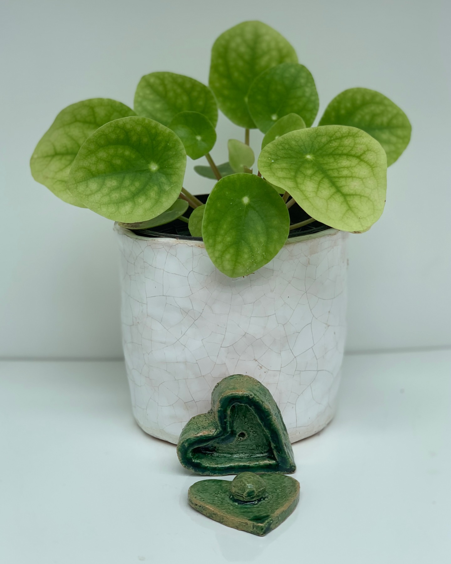 Image de l'oeuvre 26